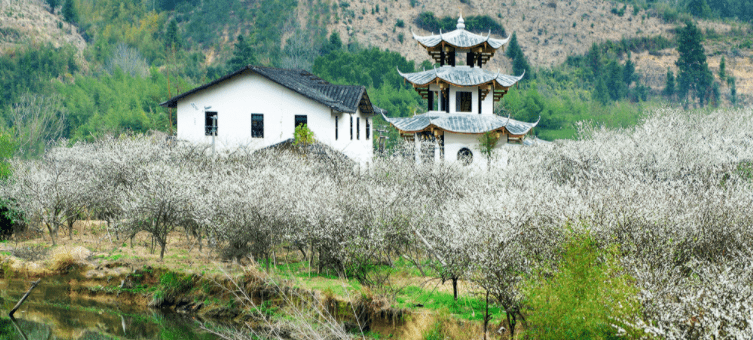 景區(qū)票務(wù)系統(tǒng)是助力景區(qū)應(yīng)收的重要工具