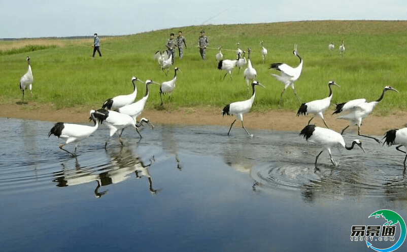 智慧票務(wù)系統(tǒng)為自然保護(hù)區(qū)帶來(lái)哪些好處