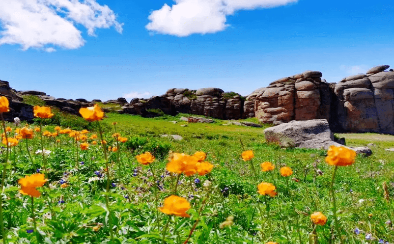 新疆吉木乃縣草原石城與易景通景區門票管理系統達成合作