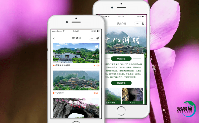 打造鄉村旅游景區智能票務系統，全面提升鄉村旅游品位