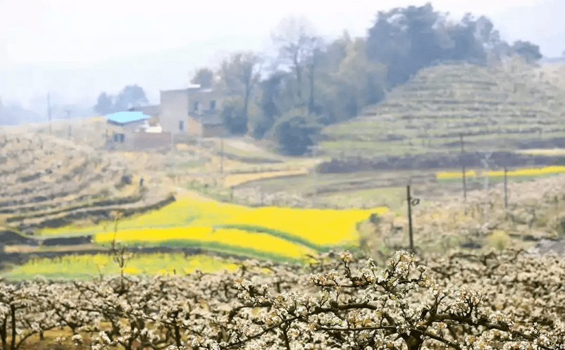 黃瓜山景區(qū)與易景通票務(wù)系統(tǒng)達成深度合作案例
