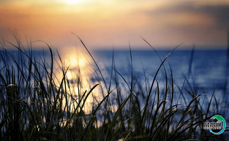 智慧景區管理系統讓管理者能夠及時準確地掌握景區情況 智慧景區管理系統讓管理者能夠及時準確地掌握景區情況