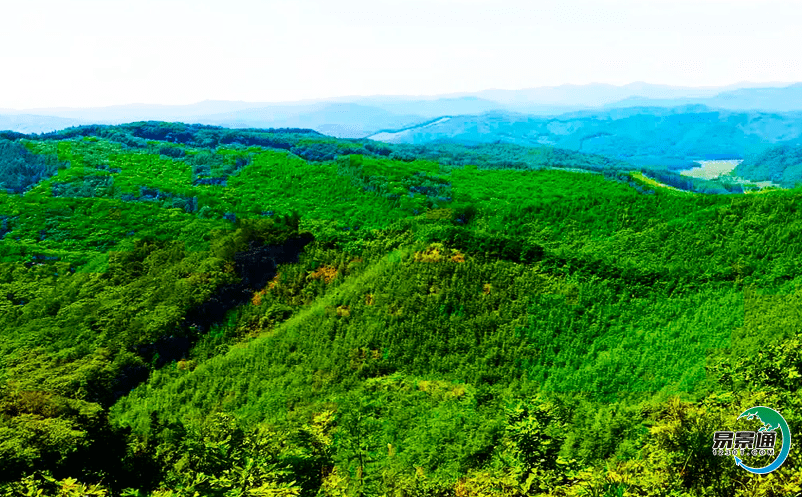 景區ota票務系統為景區開拓售票渠道