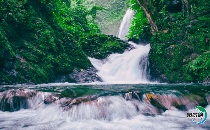 智慧旅游票務系統提高管理層的執行效率