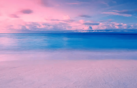 信陽市文旅部門開展各種主題活動盛宴敘鄉情，迎接佳節