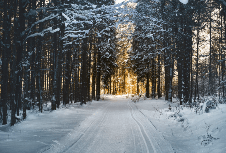 積極培育文娛旅游等新的消費增長點，推動文旅產業發展