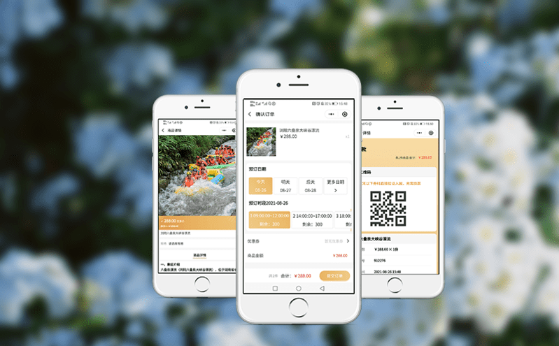 景區門票系統與停車場系統的無縫對接