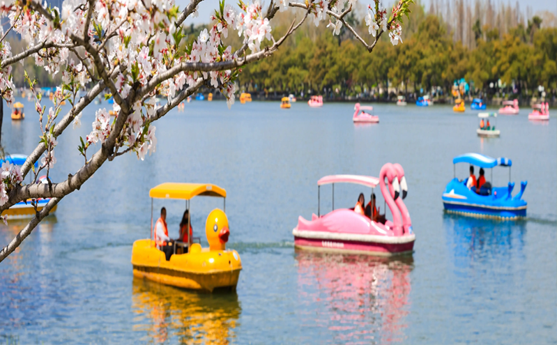 智能游船計時交易，游船購票系統全掌握